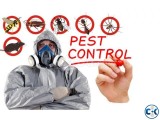 Pest Control Services in Dhaka With Six Months Guarantee
