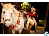 Horse Ghora Rental and Horse Carriage Rental in Dhaka