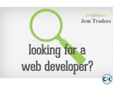 Web Designer Development For Online Work from home
