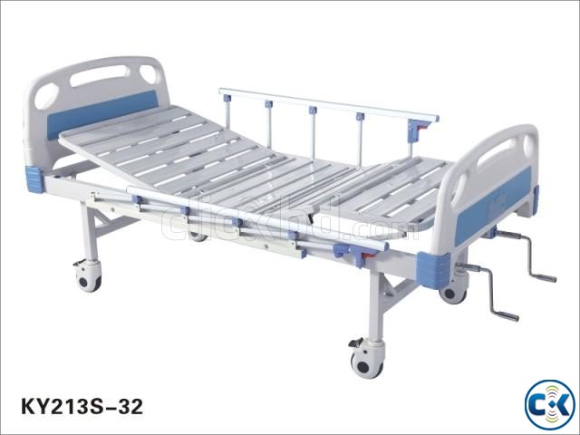 Home Care Bed or Hospital Bed large image 0