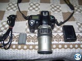 Nikon D70 -Lens-28-200 