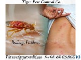Tiger Pest Control Co