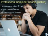 Online professional computer course