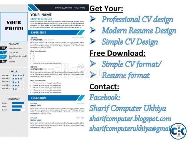Resume design Professional CV large image 0