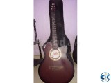 Acoustic signature guitar new condition