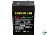AlphaPower VRLA AGM Battery 6V5Ah-UPS Light Source Taiwan