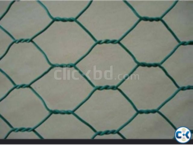 Hexagonal wire mesh large image 0