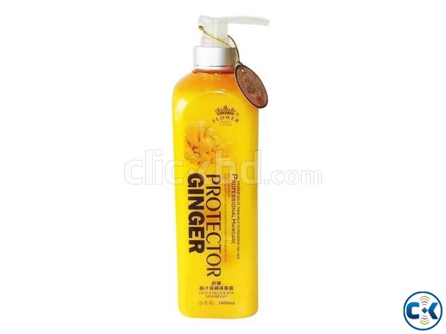 Anti Hair Loss Protector GINGER Shampoo -1000ml large image 0