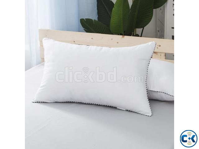 Soft Comfortable Vietnam Fiber Pillow large image 0