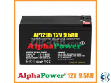 AlphaPower 12v 9.5Ah Ups Battery