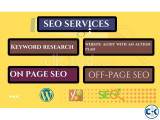 Professional SEO expert in BD