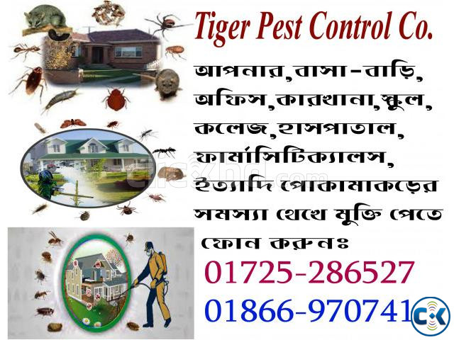 Insect Control Tiger Pest Control Co. | ClickBD large image 0