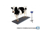 Digital Cow Weighing Scale in bangladesh 