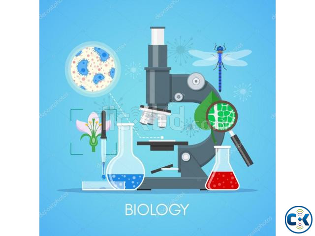 EDEXCEL CHEMISTRY BIOLOGY TEACHER GULSHAN_BANANI | ClickBD large image 2