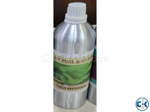 Taxus bravefoliya extract solution GS | ClickBD large image 0