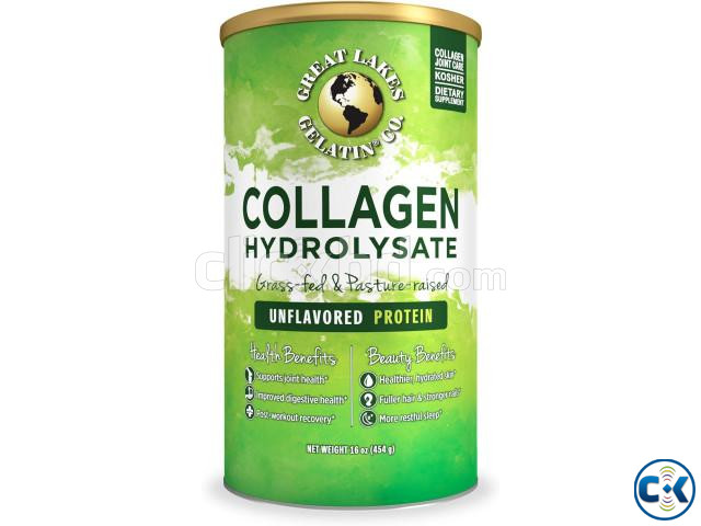 Collagen Hydrolysate - 454g large image 0