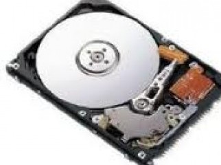 Hard disk IDE SATA SCSI SAS of 40GB 120GB 250