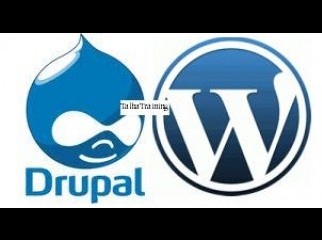 Professional Training on Drupal and WordPress-TT