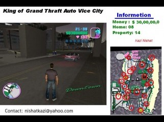King of GTA Vice City