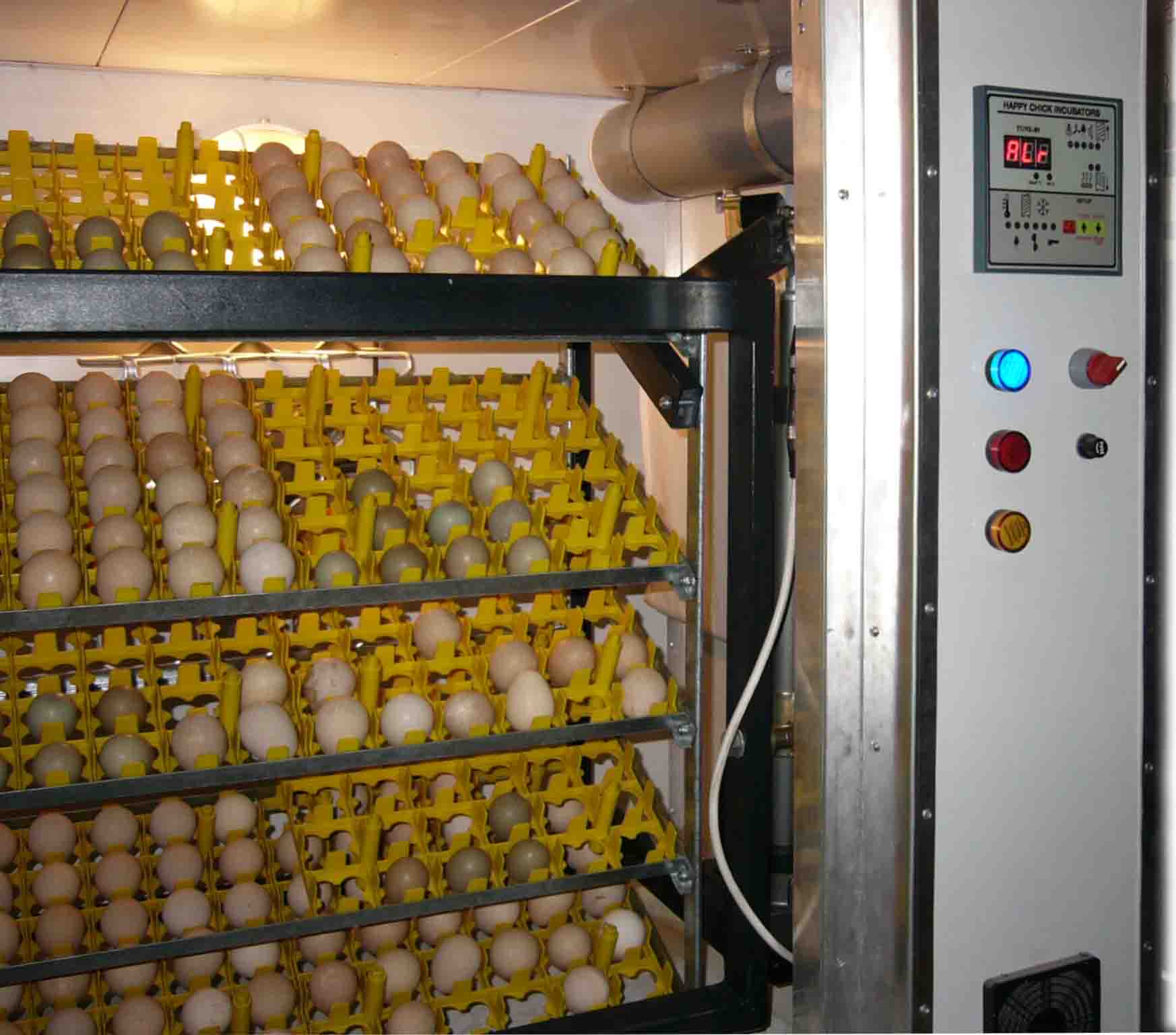 Kebonnixs 12 egg incubator quail