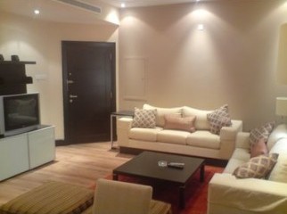 BRAND NEW LUXURIOUS APARTMENT WITH GAS N ELECTRICITY