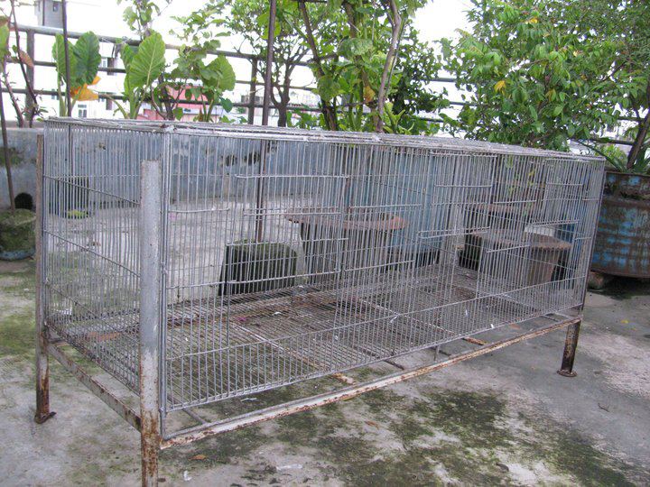 Cage khacha for Sale  large image 0