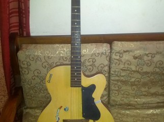Givson Slim Guitar wid cover