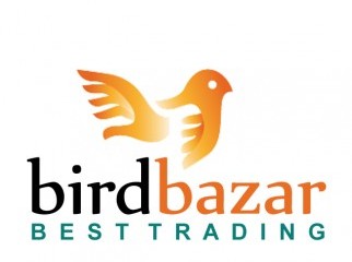 BIRD BAZAR PUBLISH YOUR AD FOR FREE