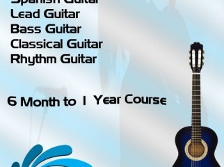 Learn Guitar from professionals