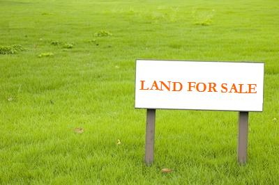 land for sale large image 0